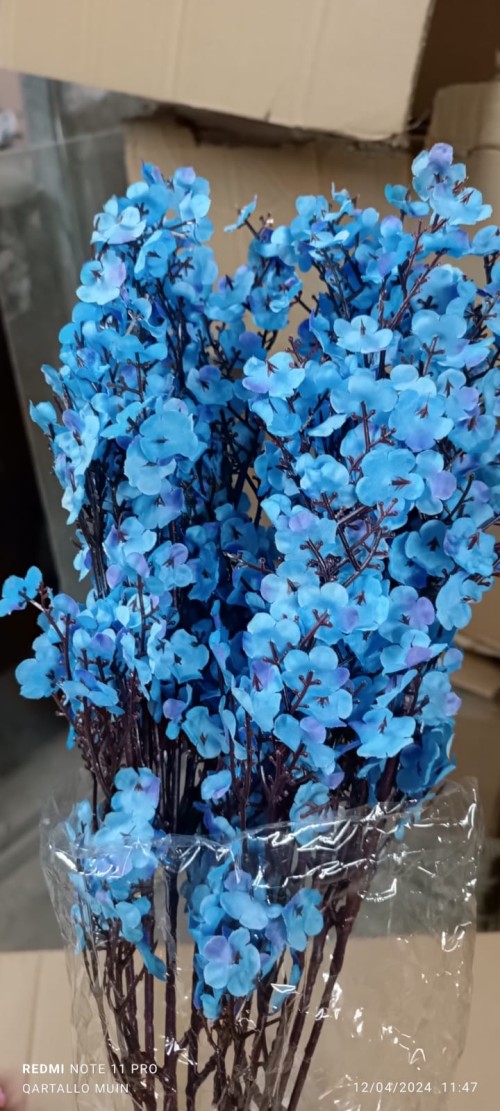 2ضمة ورد أزرق